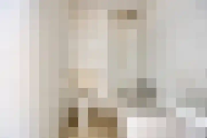 Bisschop Zwijsenplein 3 Vught thumbnail 23