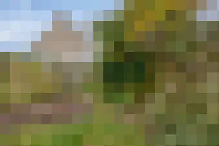 Bisschop Zwijsenplein 3 Vught thumbnail 28