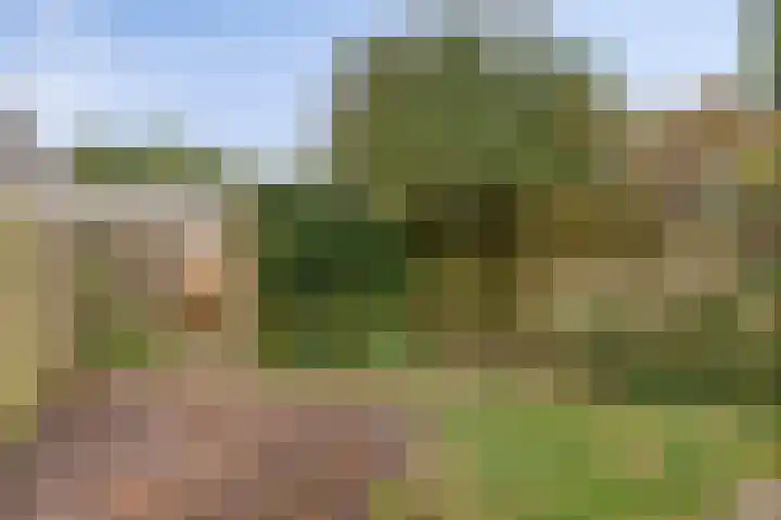 Bisschop Zwijsenplein 3 Vught thumbnail 29