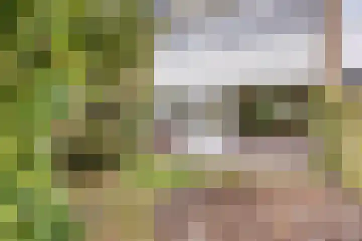 Bisschop Zwijsenplein 3 Vught thumbnail 30