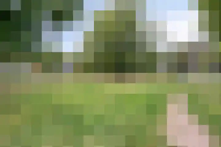 Bisschop Zwijsenplein 3 Vught thumbnail 35