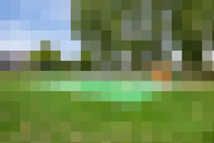 Bisschop Zwijsenplein 3 Vught thumbnail 36