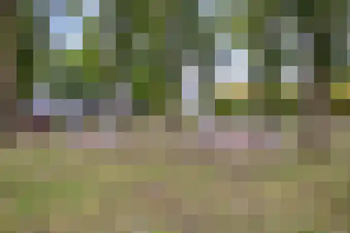 Bisschop Zwijsenplein 3 Vught thumbnail 38