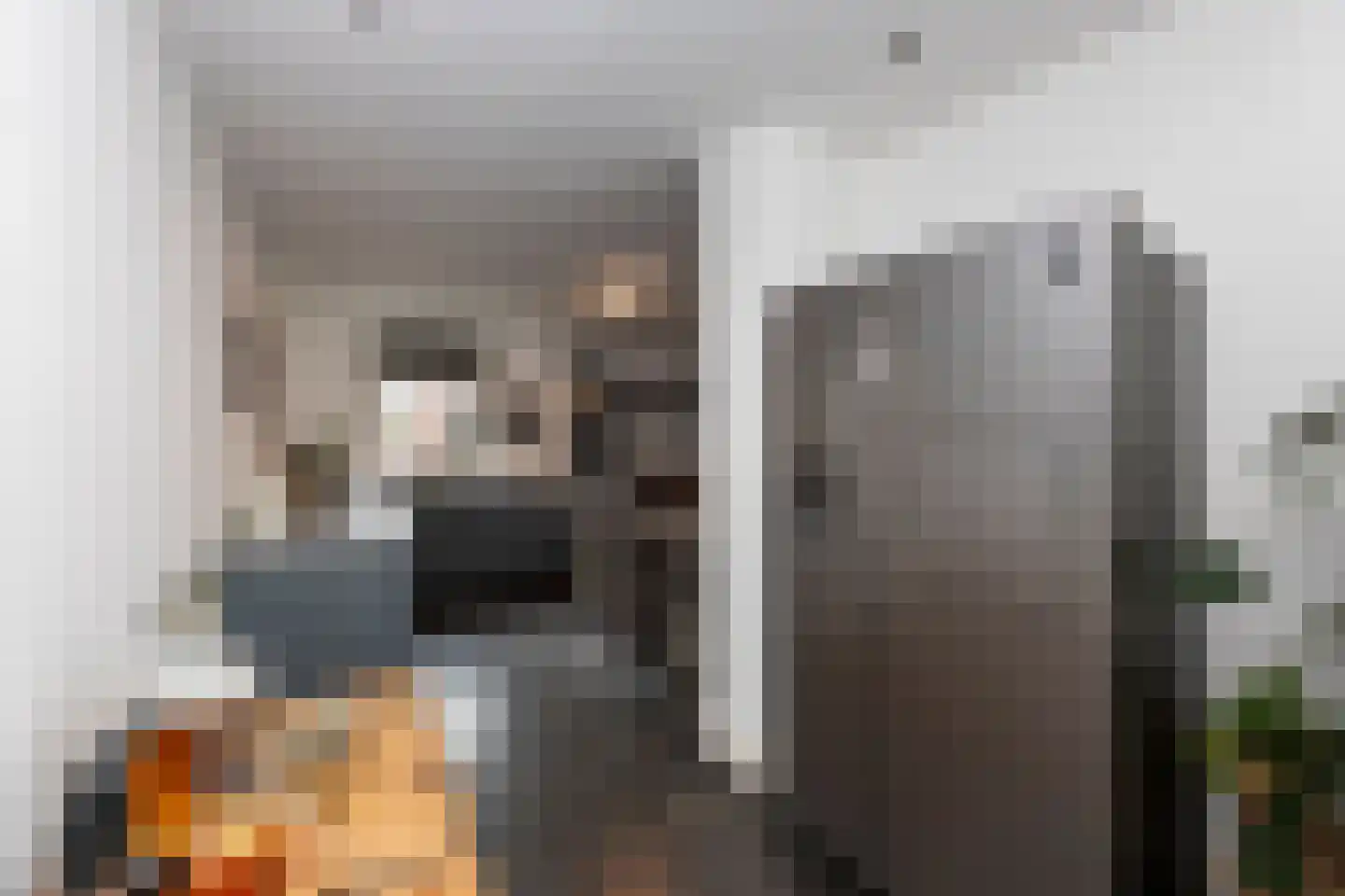 Bisschop Zwijsenstraat 102 Tilburg thumbnail 11