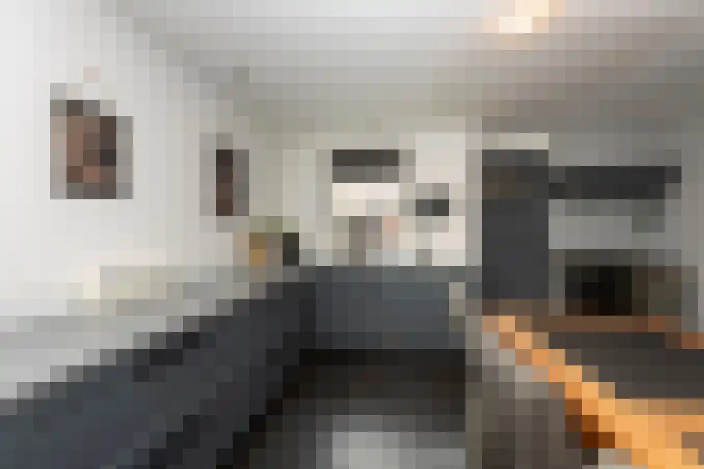 Bisschop Zwijsenstraat 102 Tilburg thumbnail 12