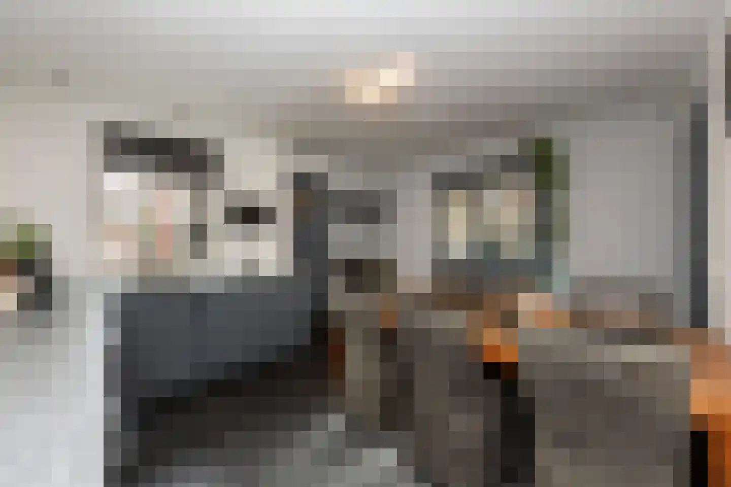 Bisschop Zwijsenstraat 102 Tilburg thumbnail 13