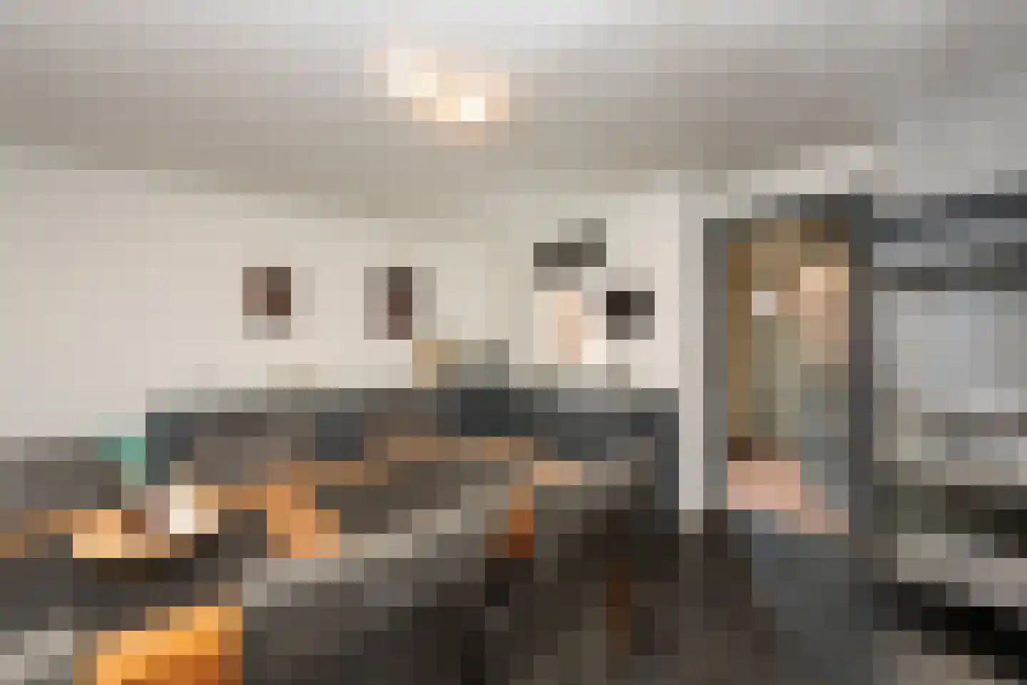 Bisschop Zwijsenstraat 102 Tilburg thumbnail 14