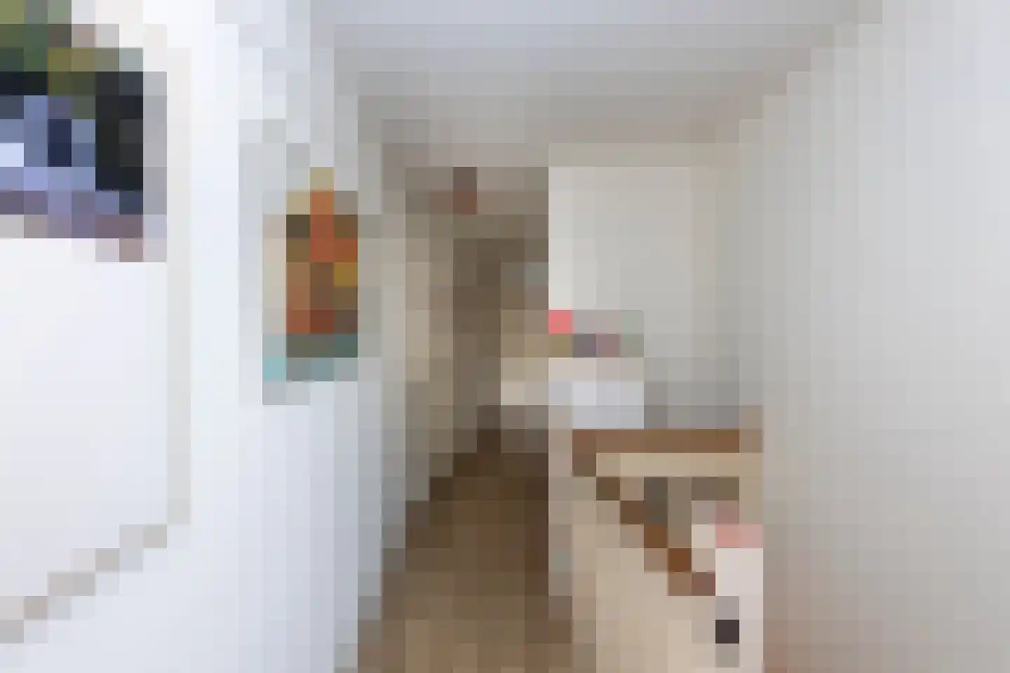 Bisschop Zwijsenstraat 102 Tilburg thumbnail 18