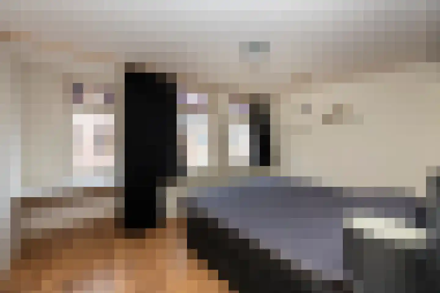 Bisschop Zwijsenstraat 102 Tilburg thumbnail 19