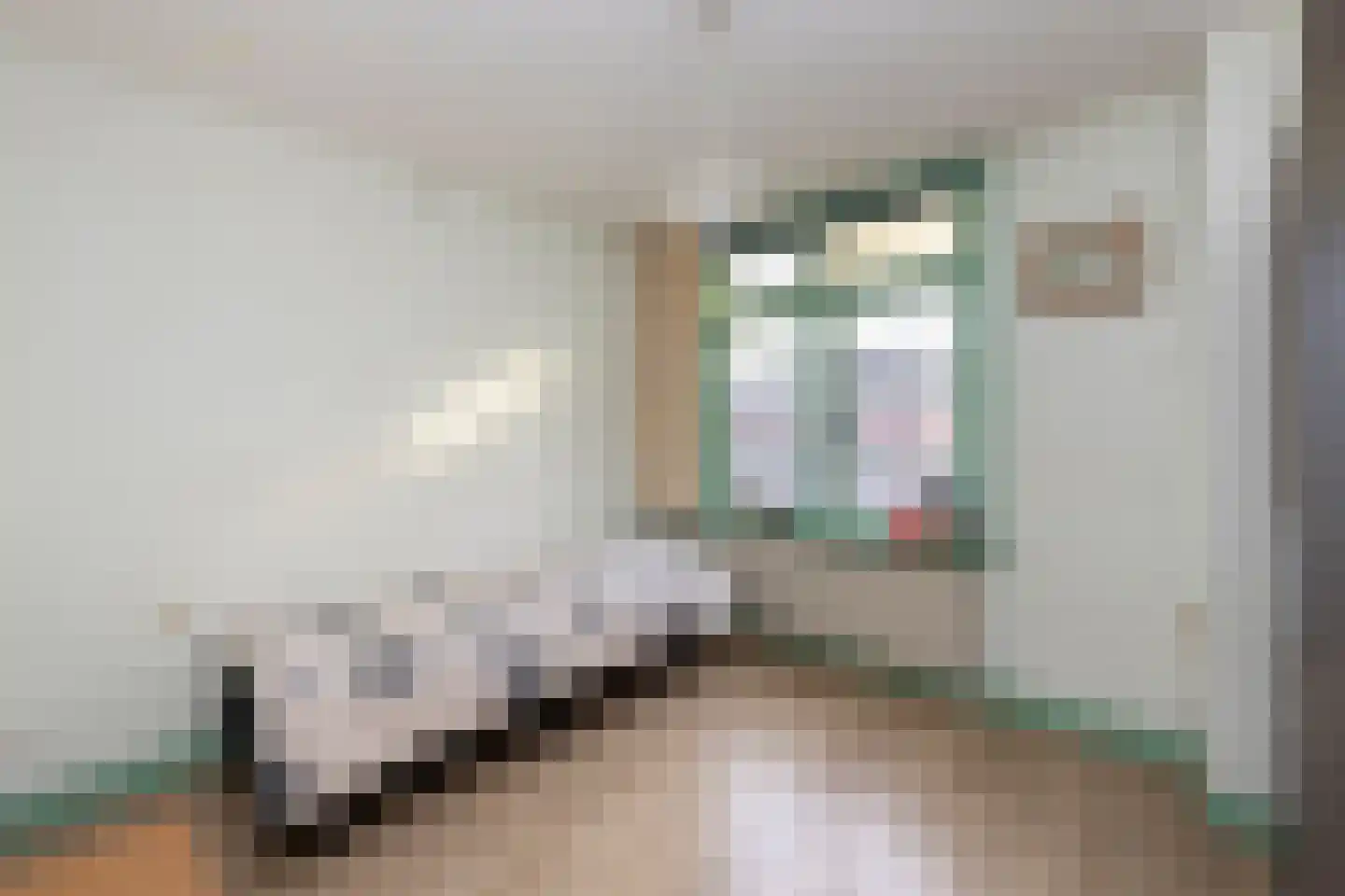 Bisschop Zwijsenstraat 102 Tilburg thumbnail 22