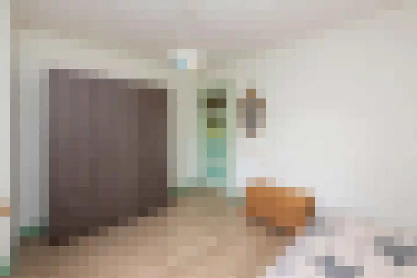 Bisschop Zwijsenstraat 102 Tilburg thumbnail 24