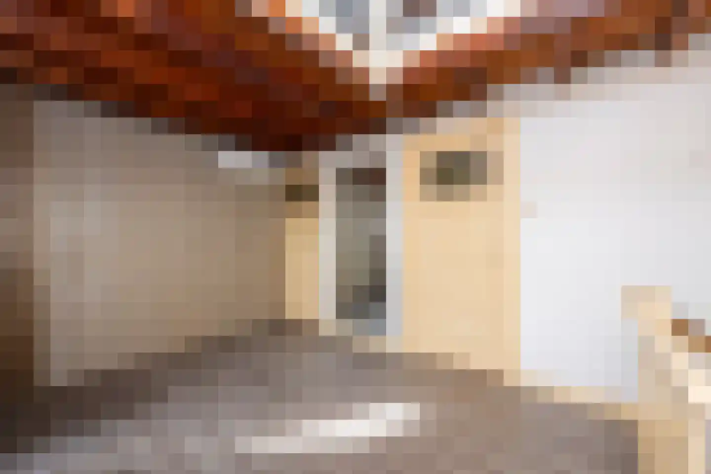 Bisschop Zwijsenstraat 102 Tilburg thumbnail 30