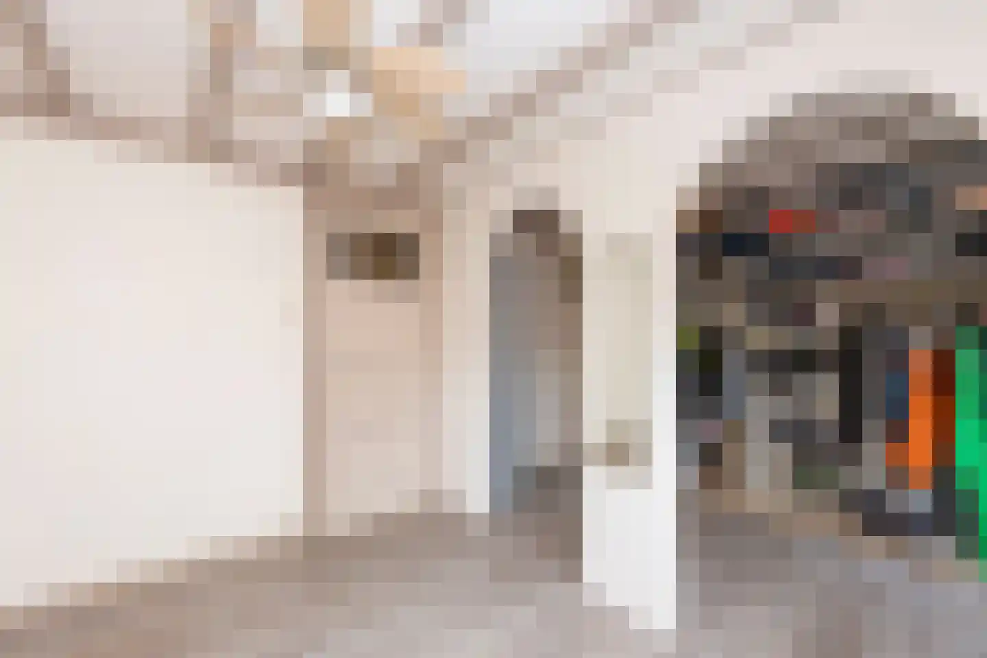 Bisschop Zwijsenstraat 102 Tilburg thumbnail 34