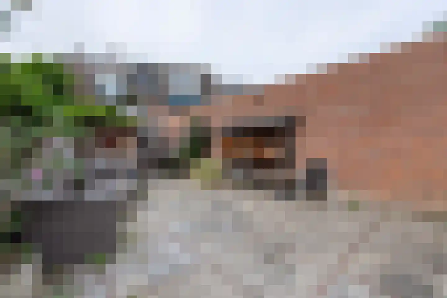 Bisschop Zwijsenstraat 102 Tilburg thumbnail 39