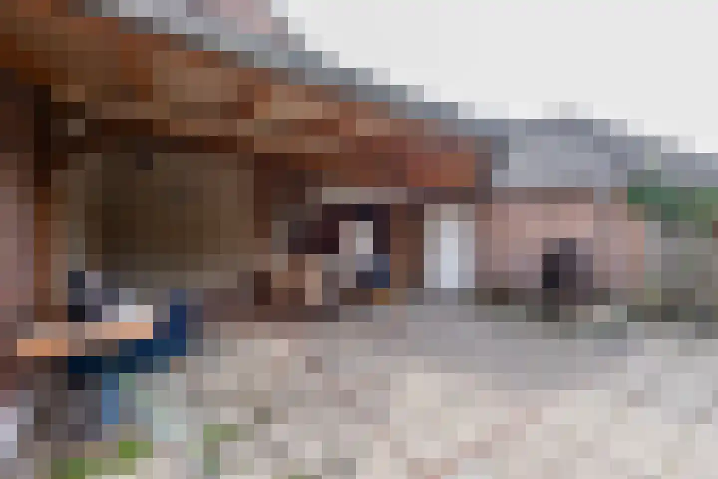 Bisschop Zwijsenstraat 102 Tilburg thumbnail 40