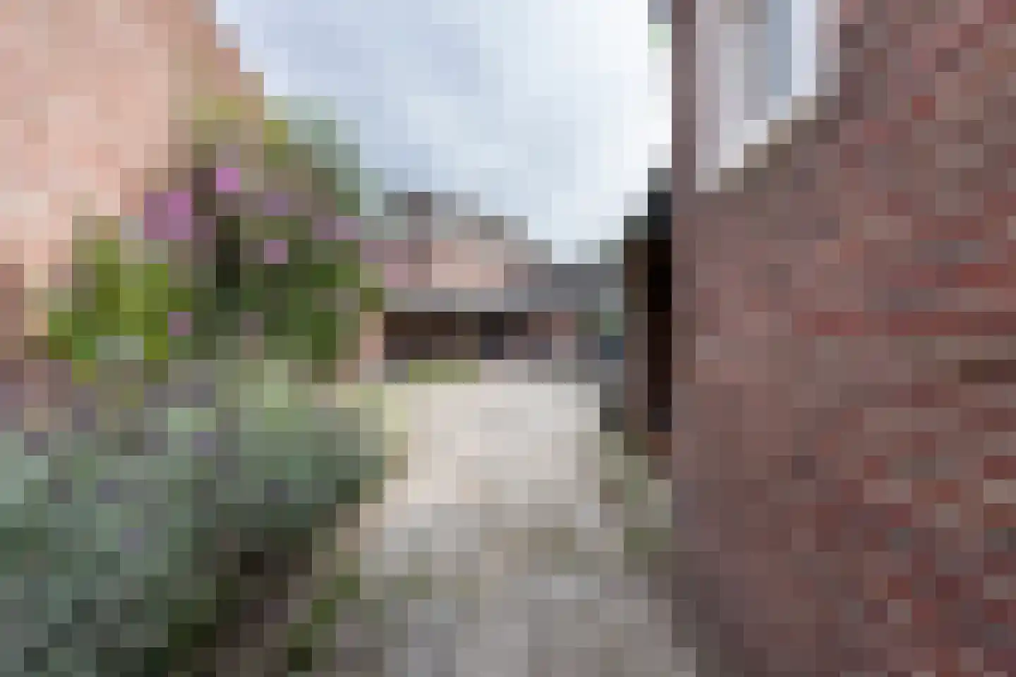 Bisschop Zwijsenstraat 102 Tilburg thumbnail 42