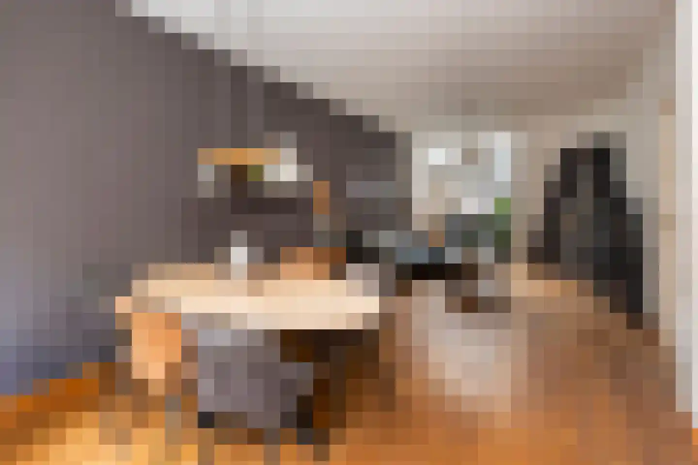 Bisschop Zwijsenstraat 102 Tilburg thumbnail 5