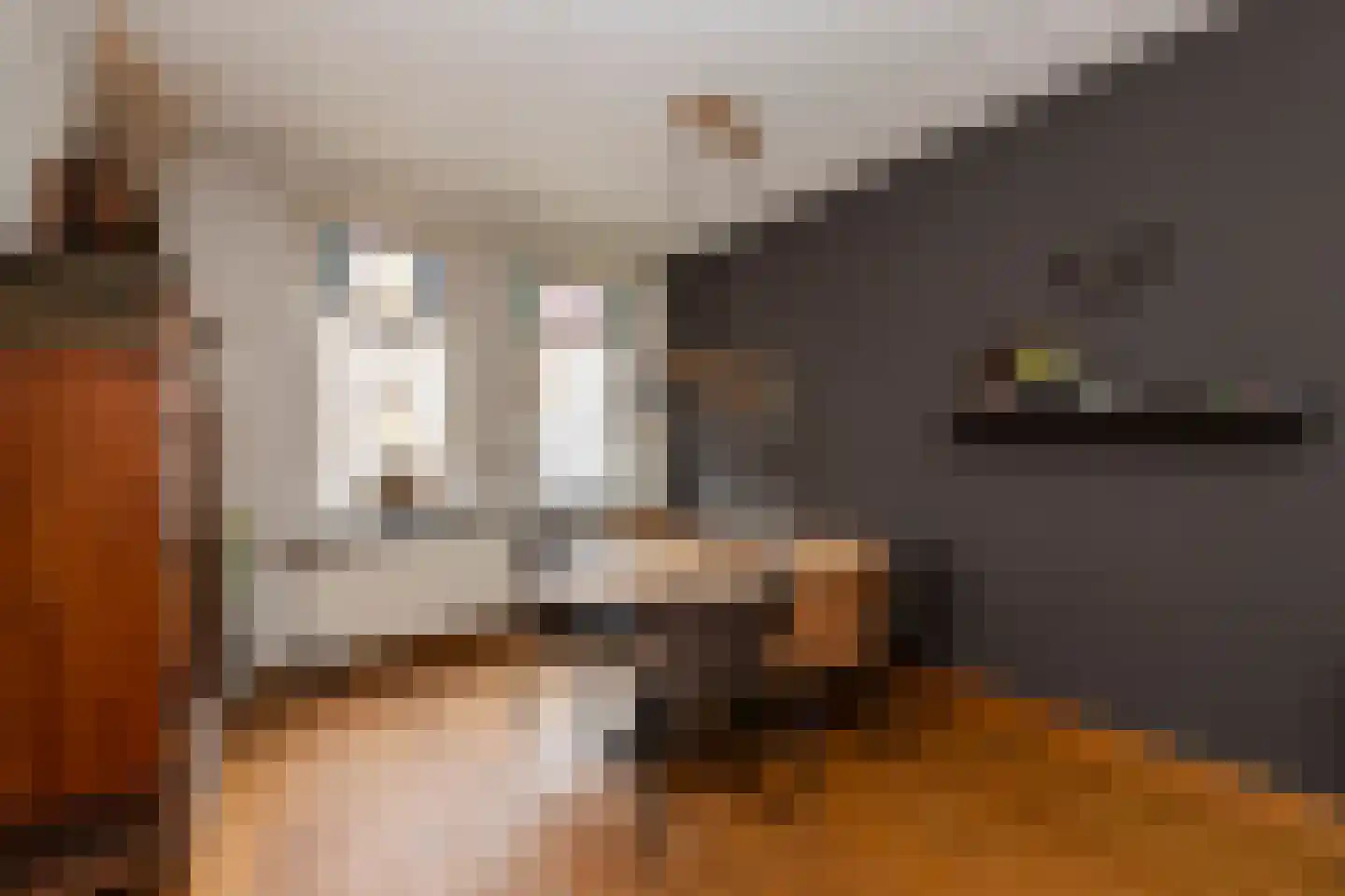Bisschop Zwijsenstraat 102 Tilburg thumbnail 6