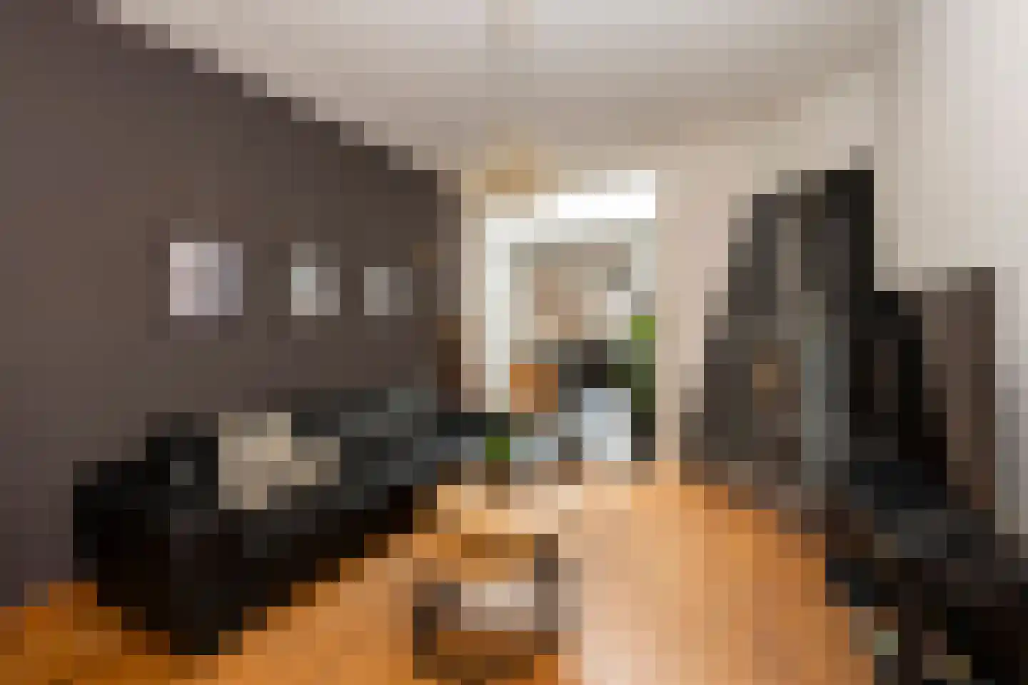 Bisschop Zwijsenstraat 102 Tilburg thumbnail 7