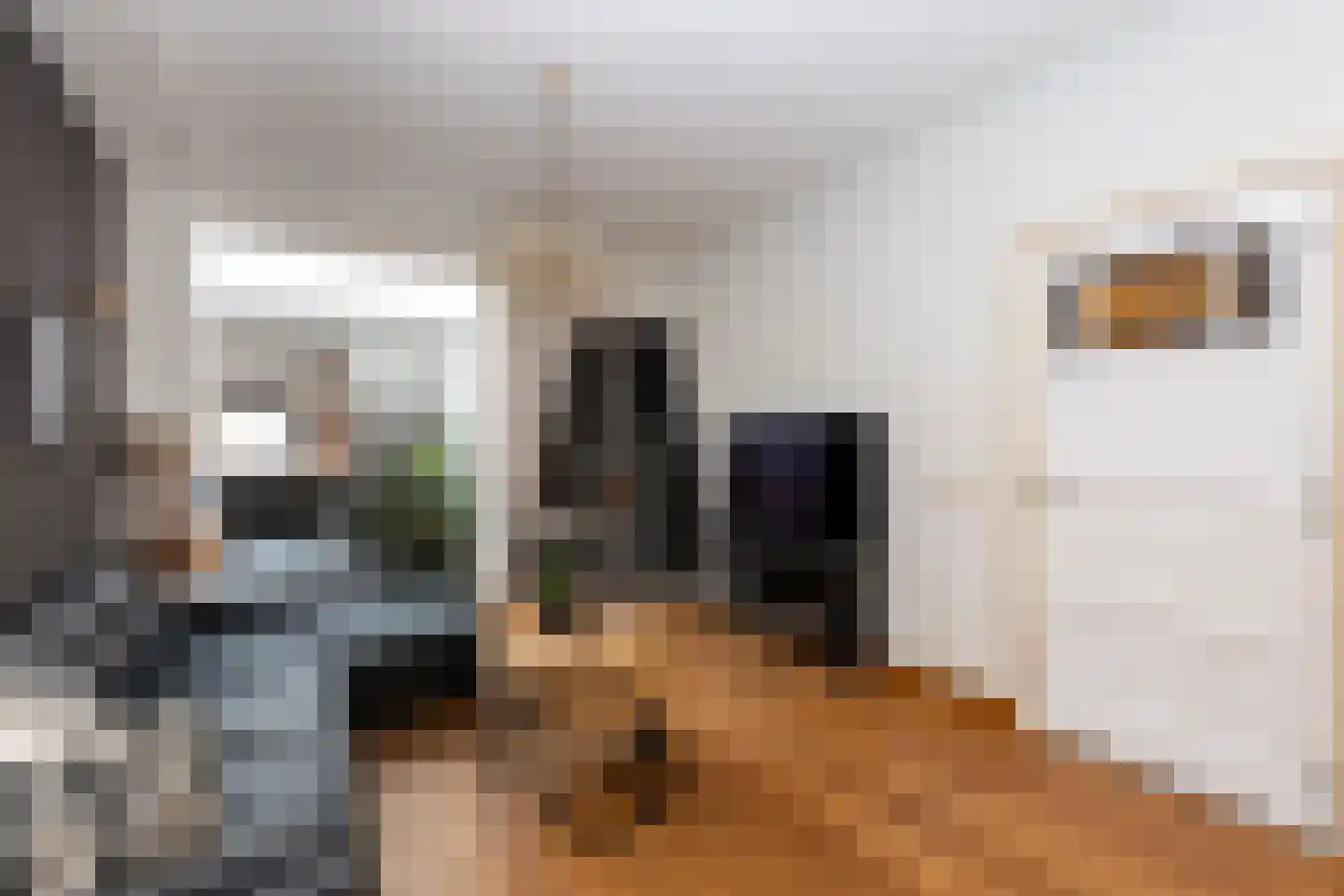 Bisschop Zwijsenstraat 102 Tilburg thumbnail 8