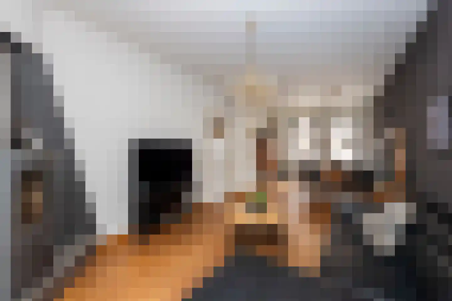 Bisschop Zwijsenstraat 102 Tilburg thumbnail 9