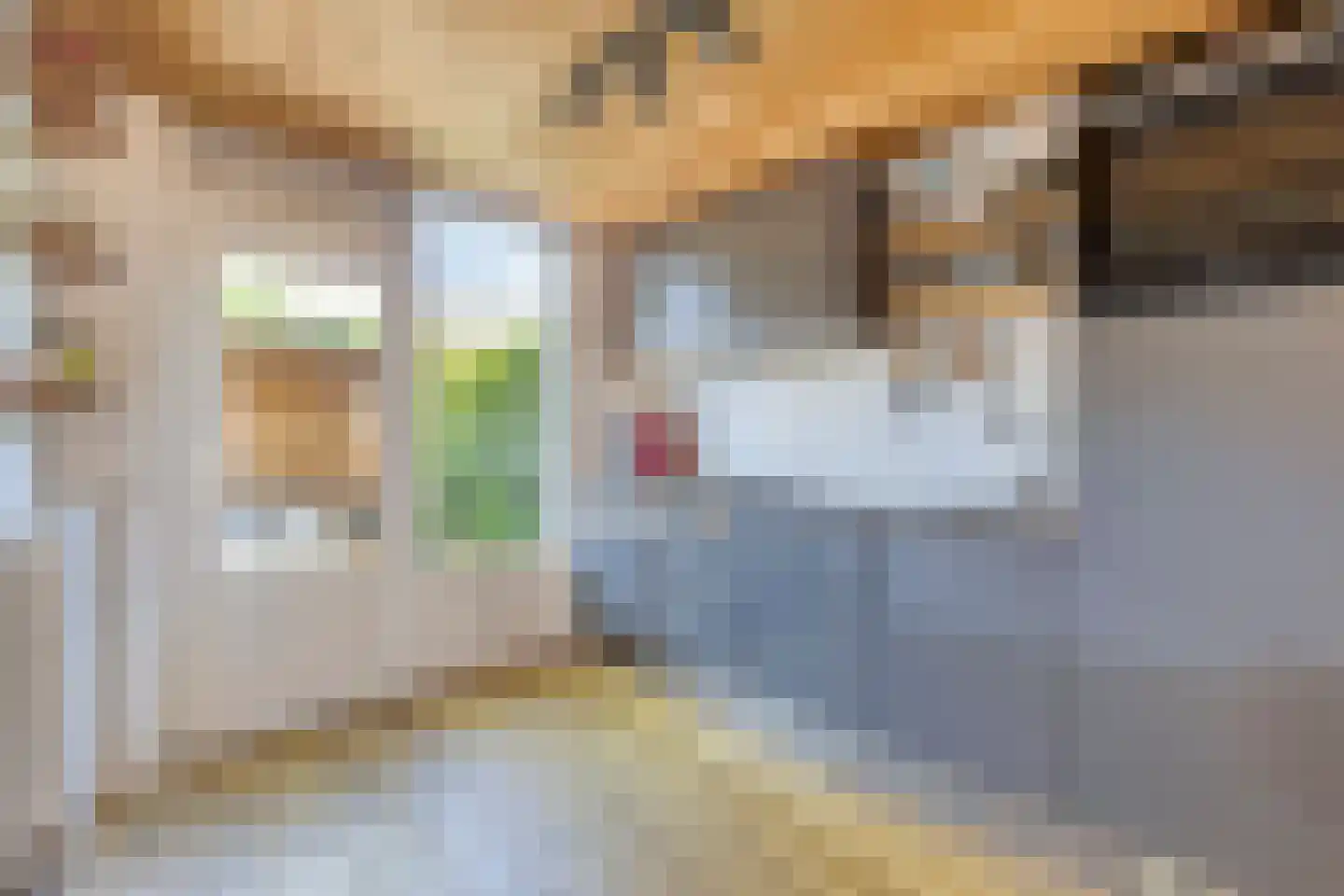 Bisschop Zwijsenstraat 108 Tilburg thumbnail 10