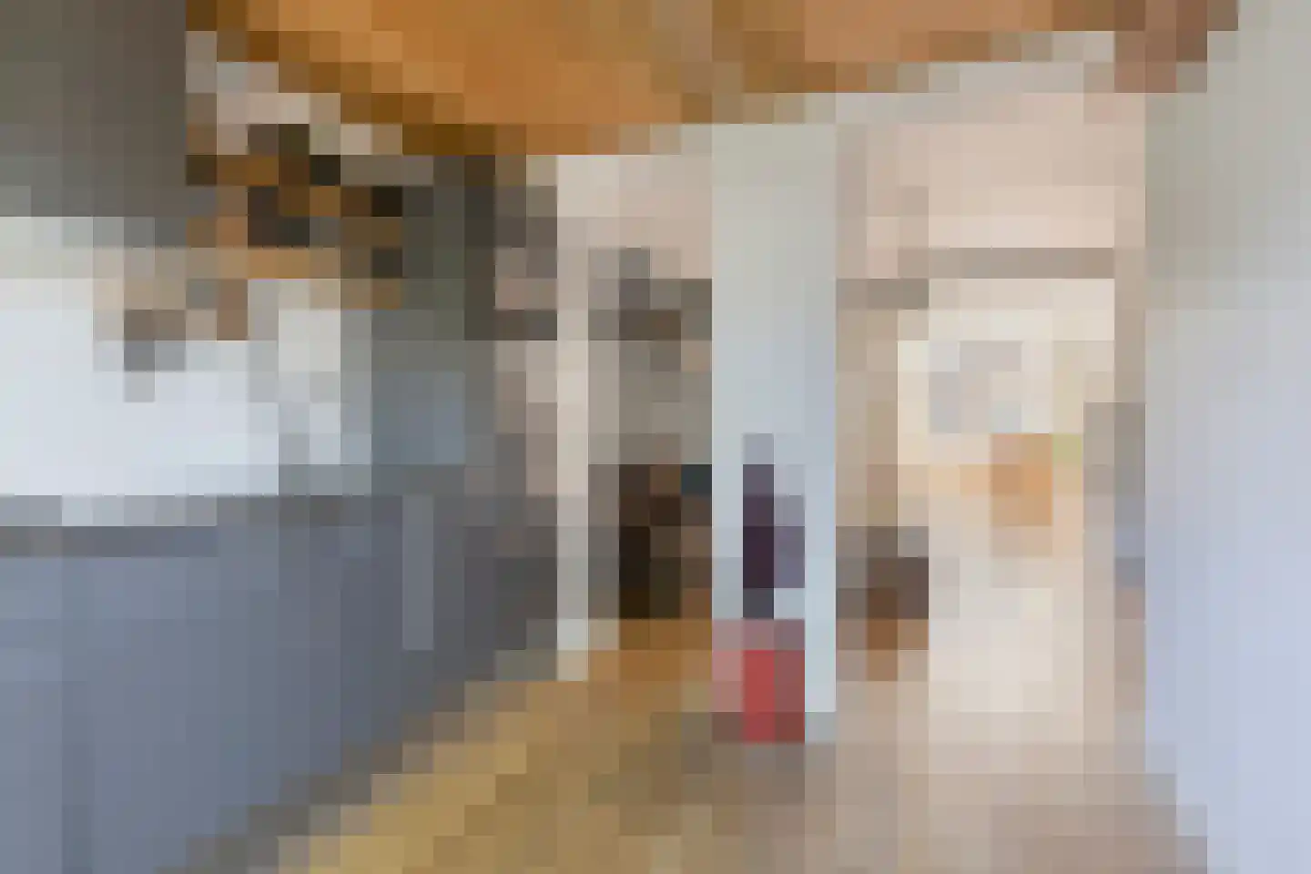 Bisschop Zwijsenstraat 108 Tilburg thumbnail 11
