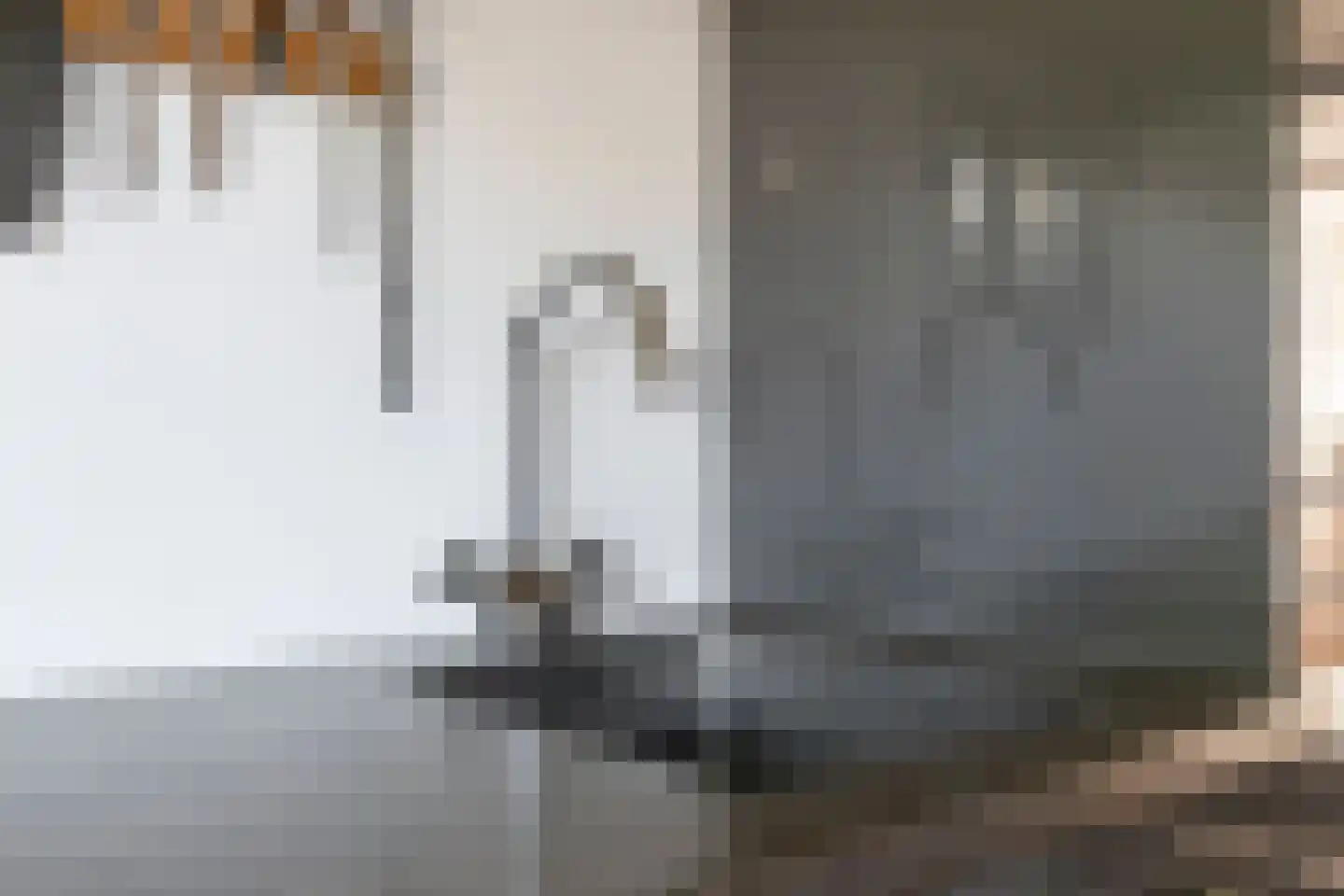 Bisschop Zwijsenstraat 108 Tilburg thumbnail 12