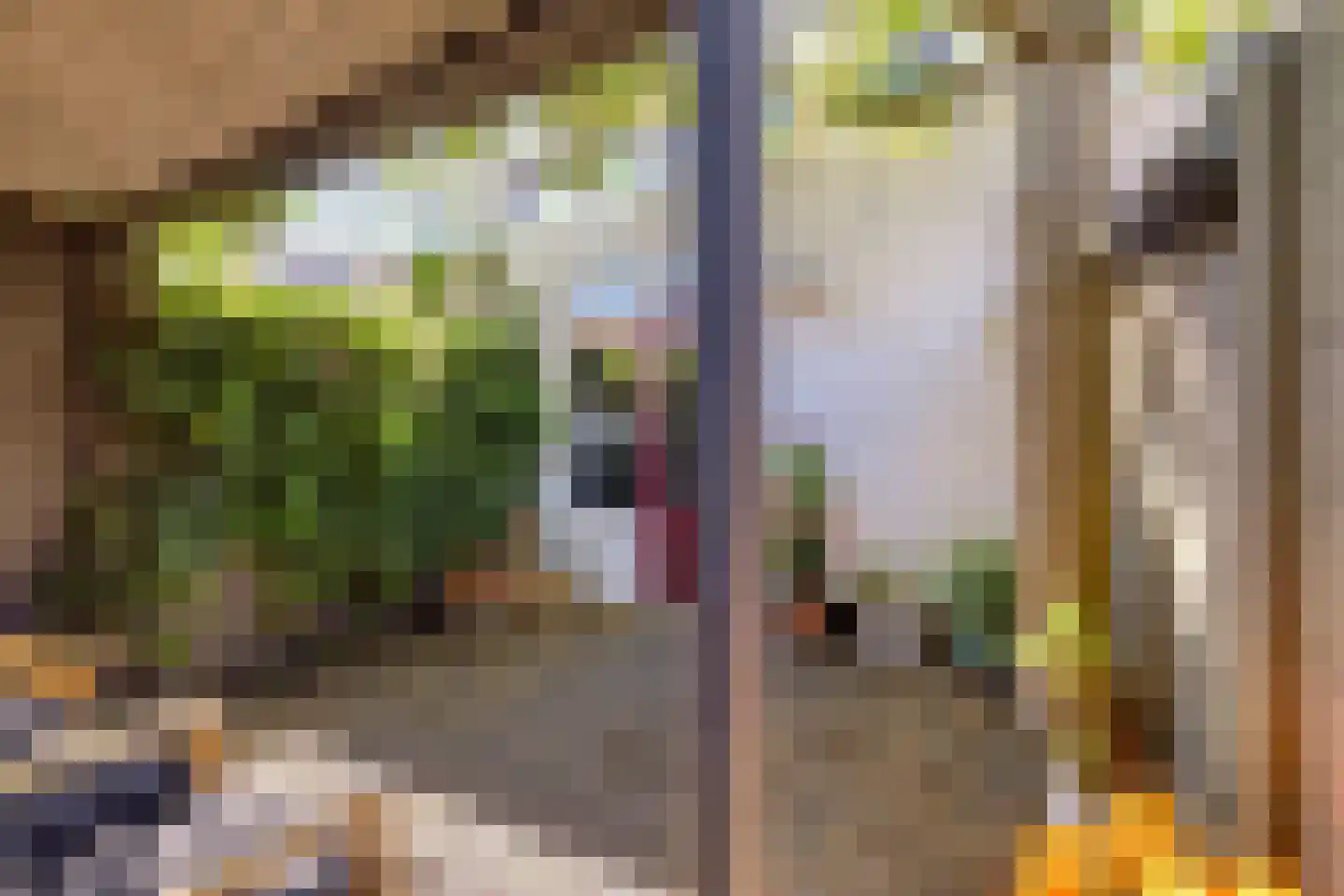 Bisschop Zwijsenstraat 108 Tilburg thumbnail 26