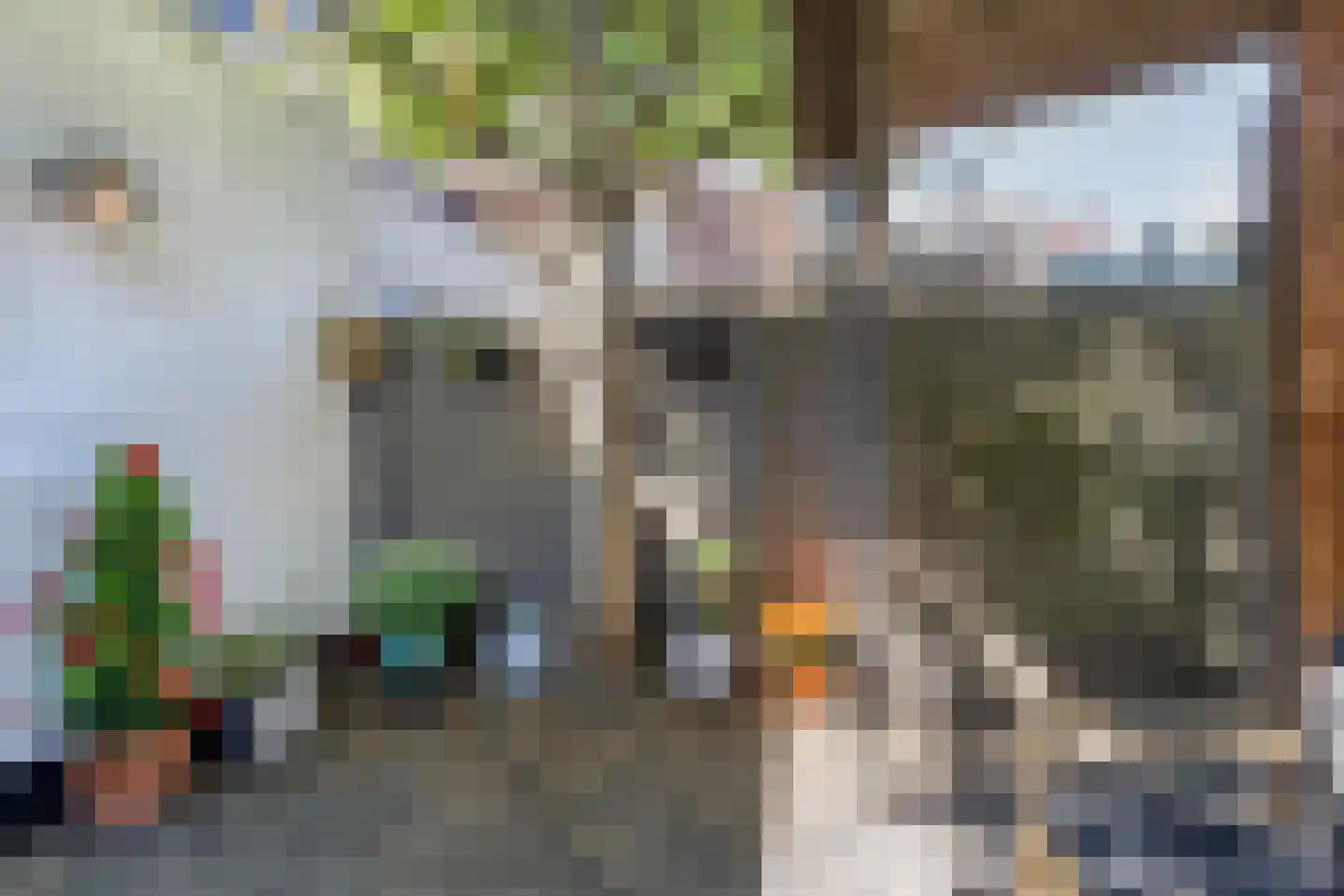 Bisschop Zwijsenstraat 108 Tilburg thumbnail 27