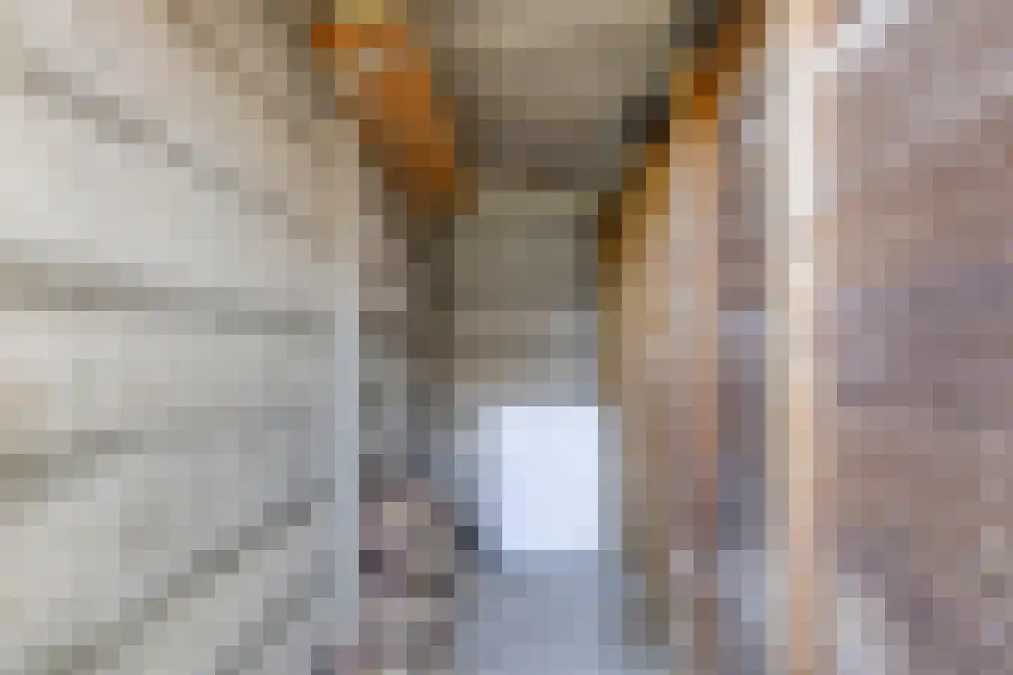 Bisschop Zwijsenstraat 108 Tilburg thumbnail 28