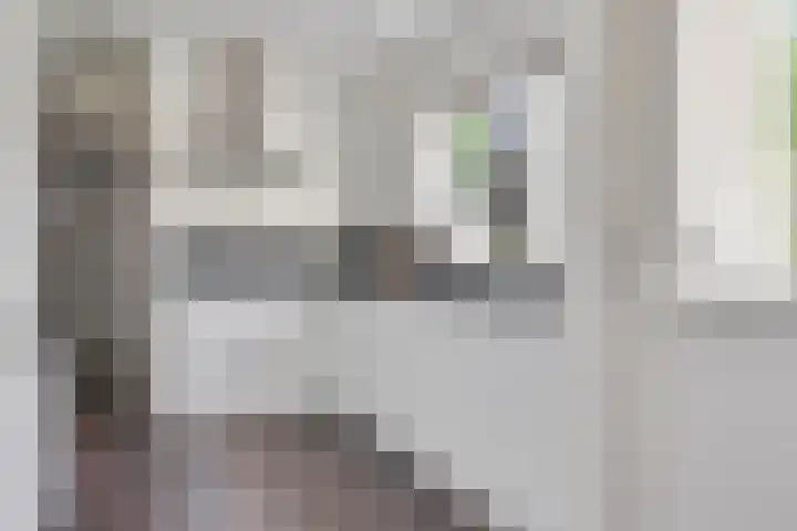 Bisschop Zwijsenstraat 112 Tilburg thumbnail 10