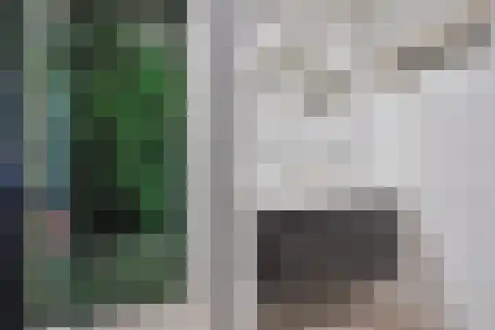 Bisschop Zwijsenstraat 112 Tilburg thumbnail 15