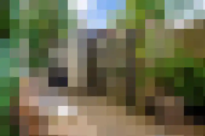 Bisschop Zwijsenstraat 112 Tilburg thumbnail 35