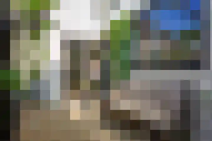 Bisschop Zwijsenstraat 112 Tilburg thumbnail 38