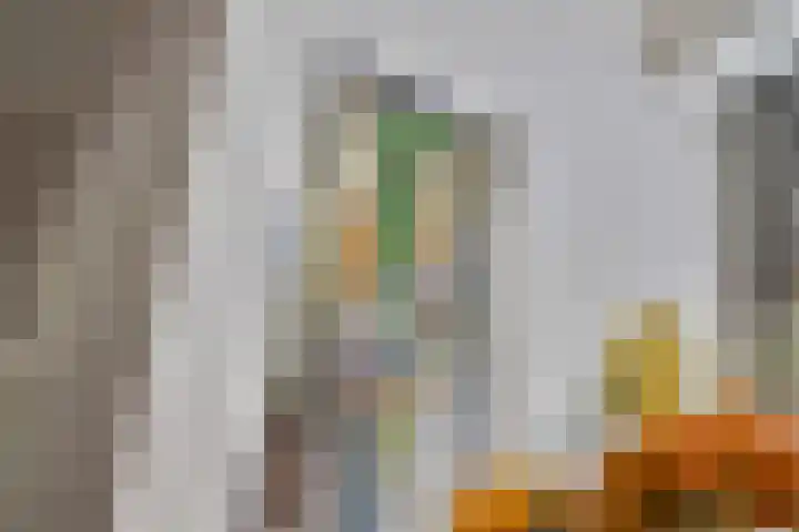 Bisschop Zwijsenstraat 112 Tilburg thumbnail 6