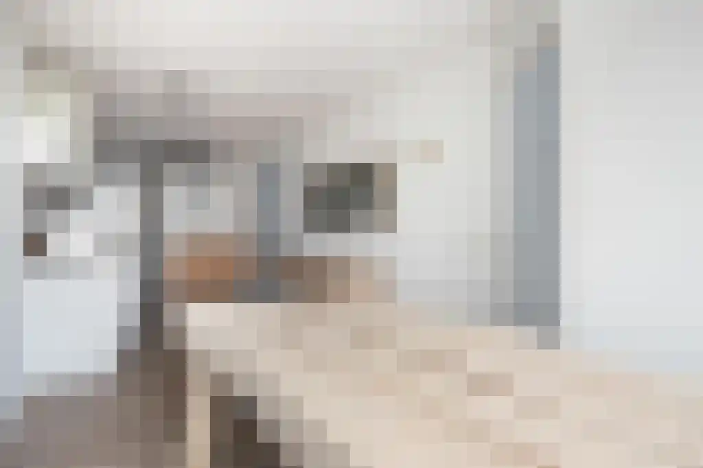 Bisschop Zwijsenstraat 119 Tilburg thumbnail 7