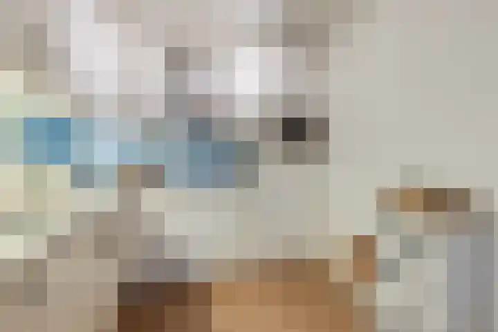 Bisschop Zwijsenstraat 31 b Tilburg thumbnail 10