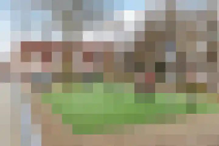 Bisschop Zwijsenstraat 31 b Tilburg thumbnail 30