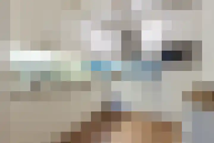 Bisschop Zwijsenstraat 31 b Tilburg thumbnail 9