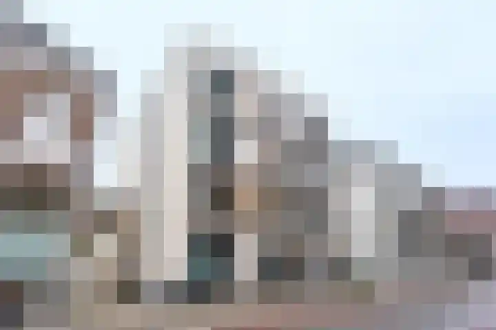 Bisschop Zwijsenstraat 45 05 Tilburg thumbnail 15