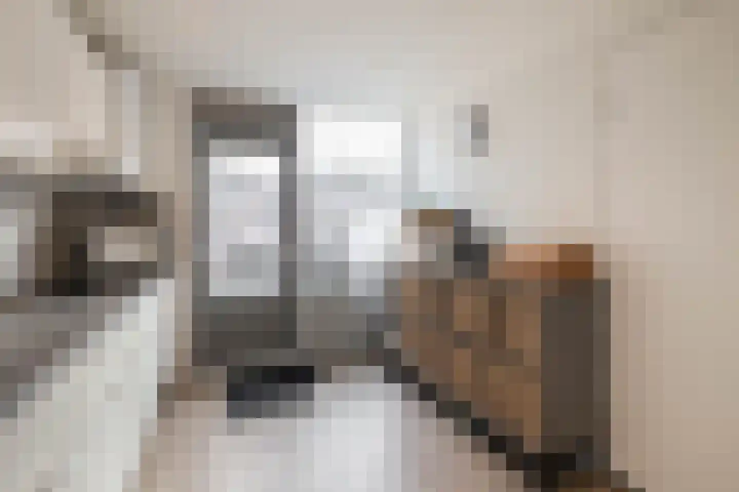 Bisschop Zwijsenstraat 92 Tilburg thumbnail 11