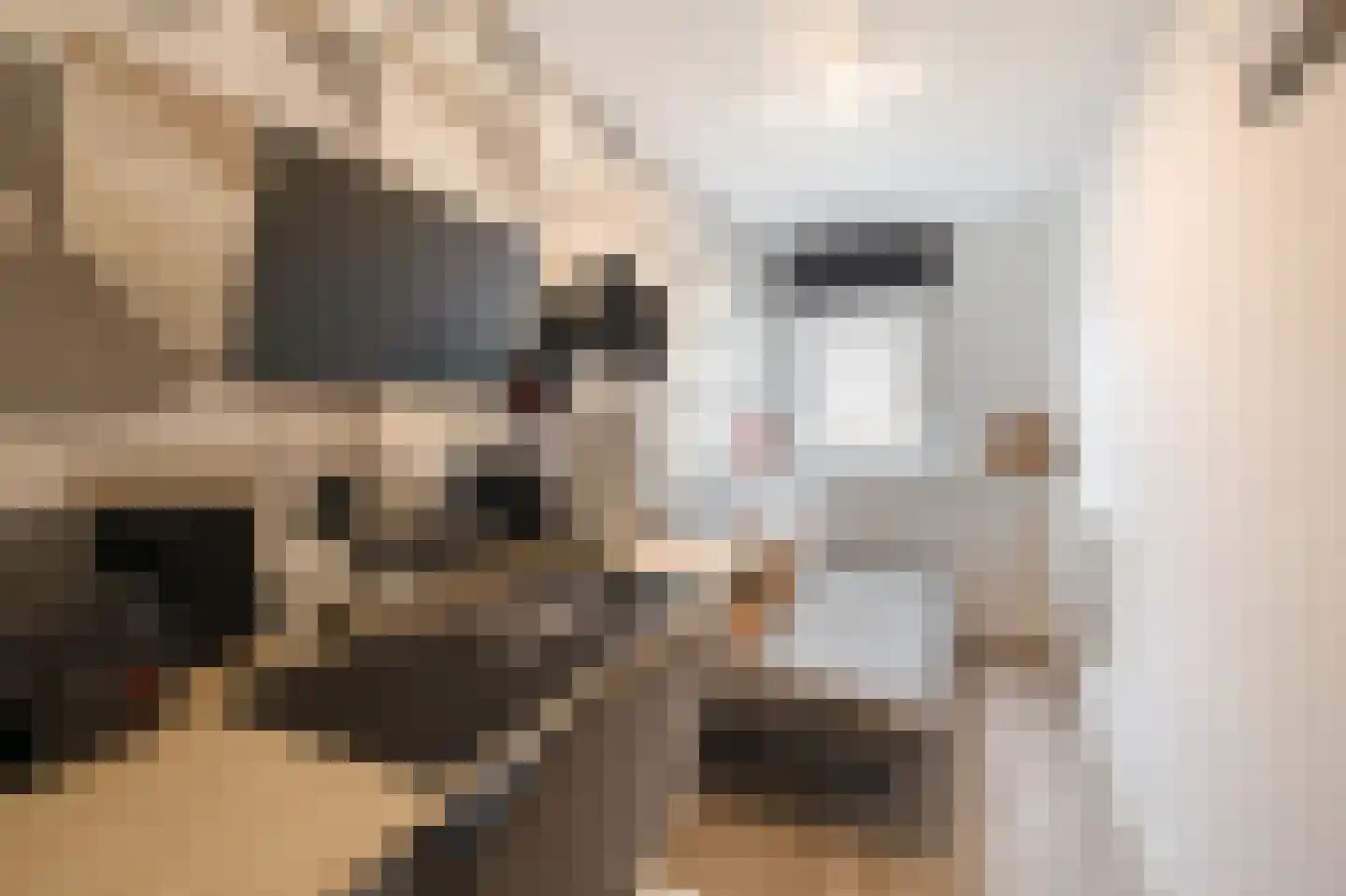 Bisschop Zwijsenstraat 92 Tilburg thumbnail 22