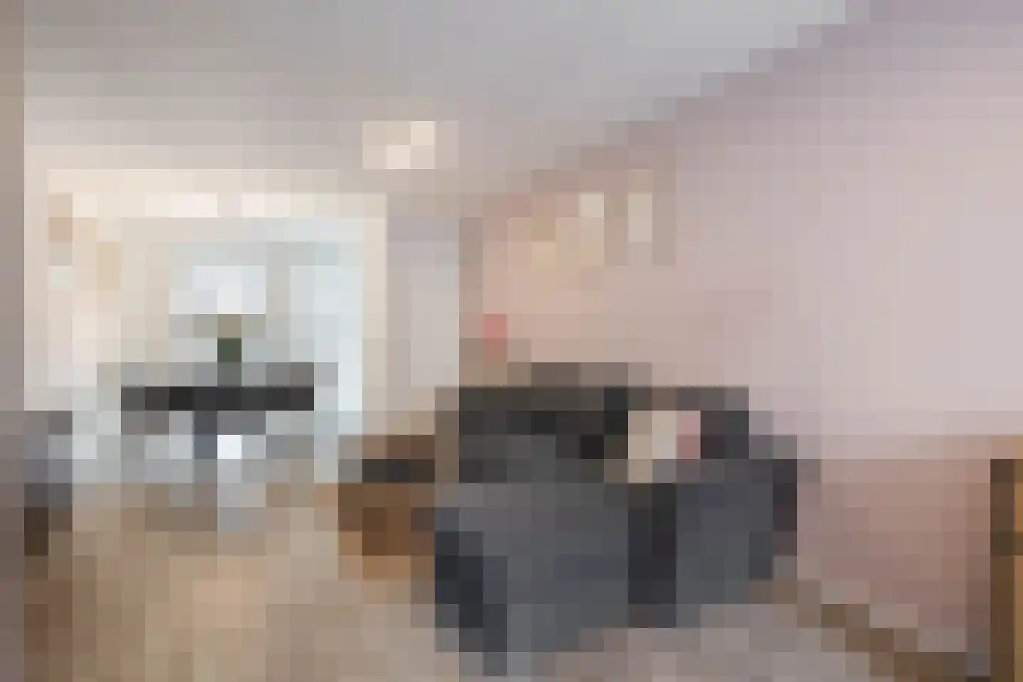 Bisschop Zwijsenstraat 92 Tilburg thumbnail 5