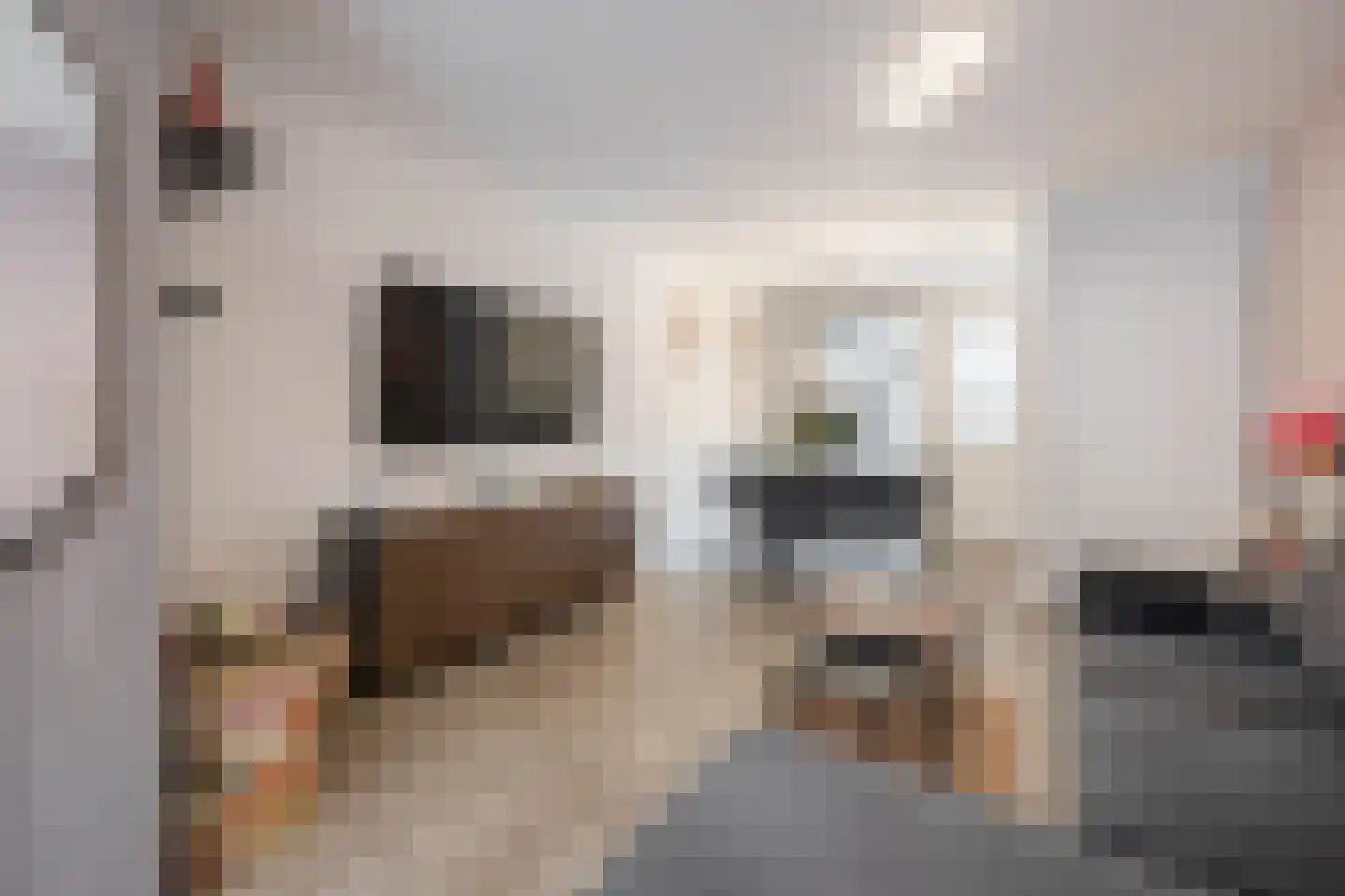Bisschop Zwijsenstraat 92 Tilburg thumbnail 6
