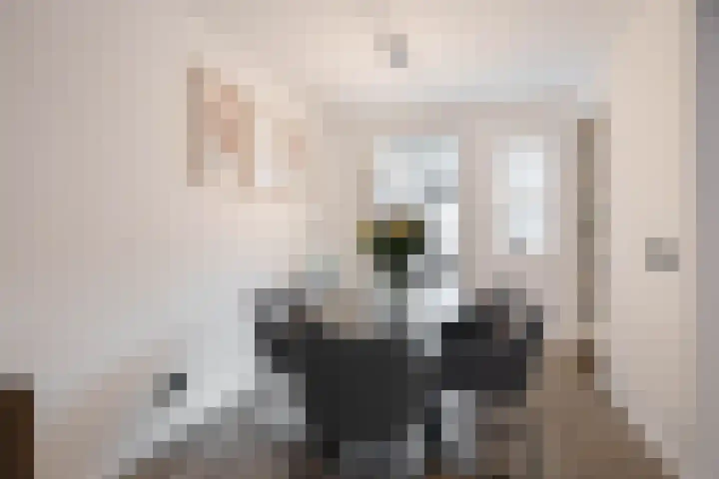 Bisschop Zwijsenstraat 92 Tilburg thumbnail 7