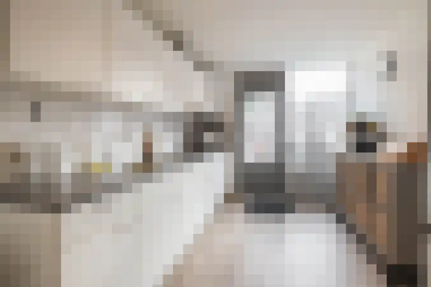 Bisschop Zwijsenstraat 92 Tilburg thumbnail 9