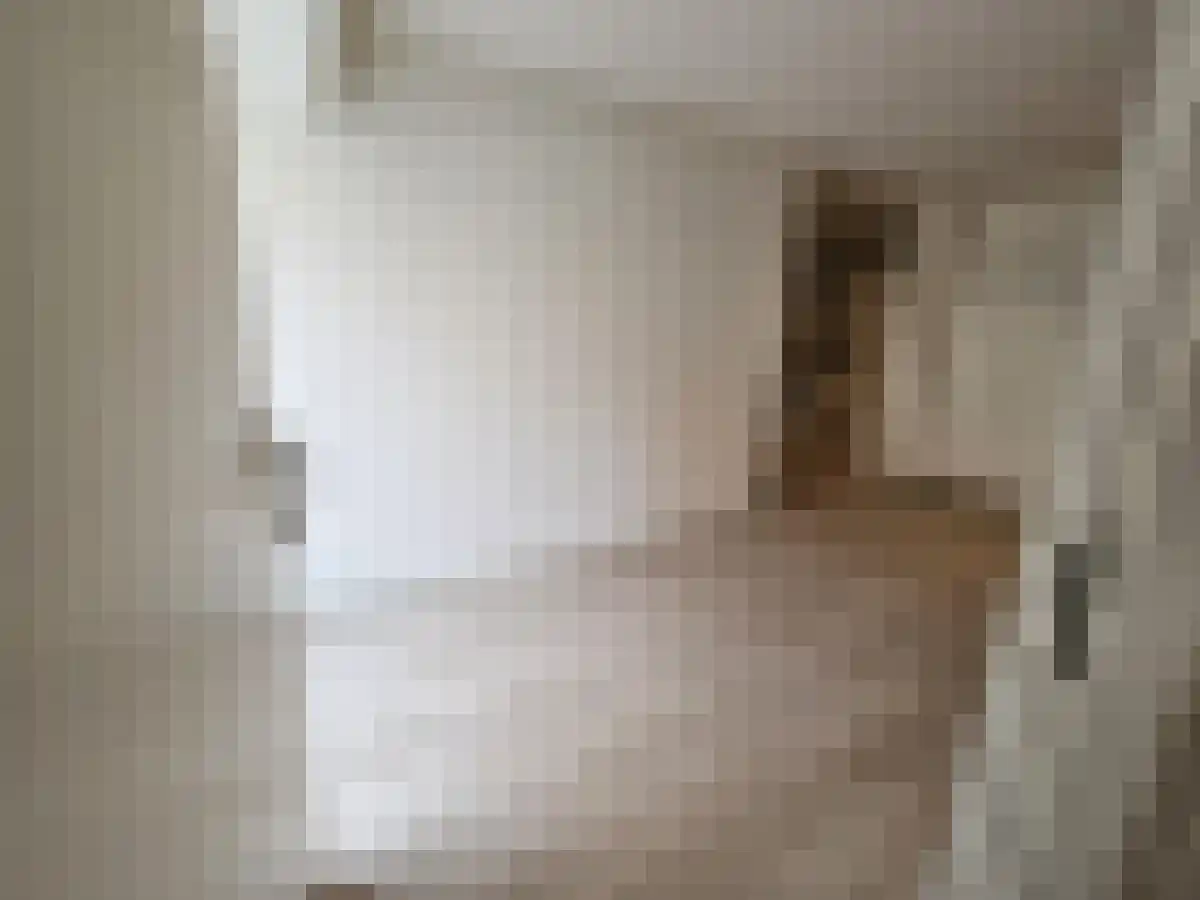 Bisschop Zwijsenstraat Tilburg thumbnail 4