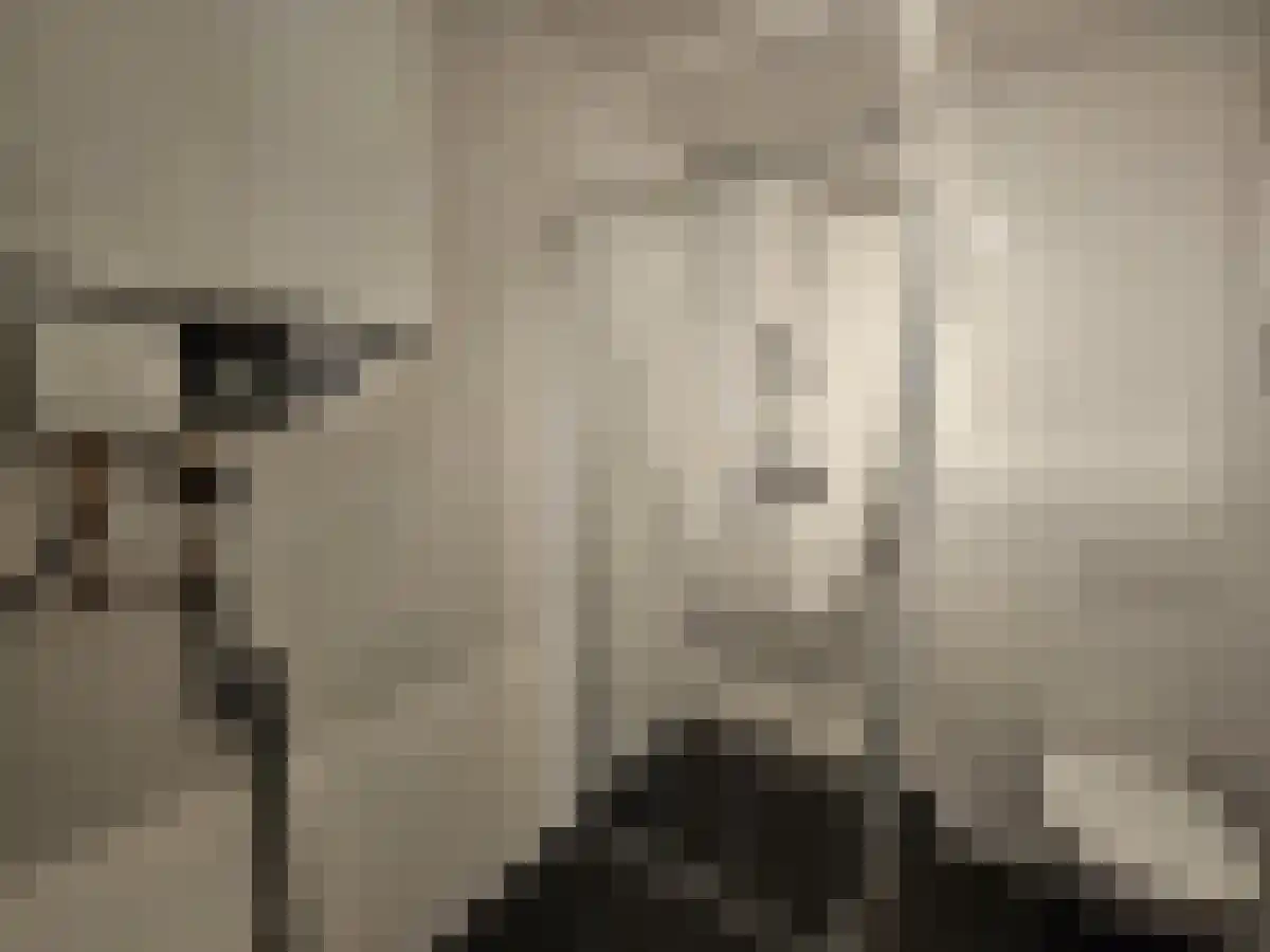 Bisschop Zwijsenstraat Tilburg thumbnail 4
