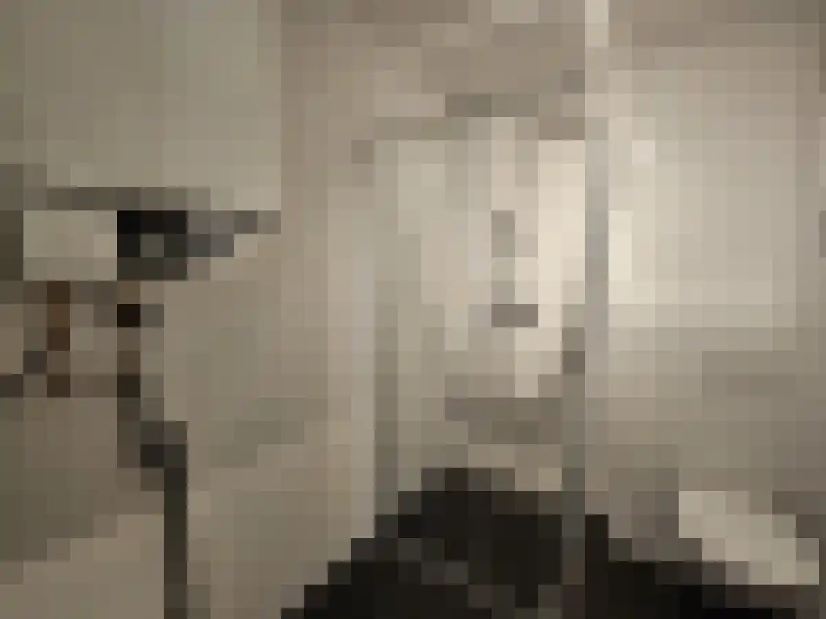 Bisschop Zwijsenstraat Tilburg thumbnail 5